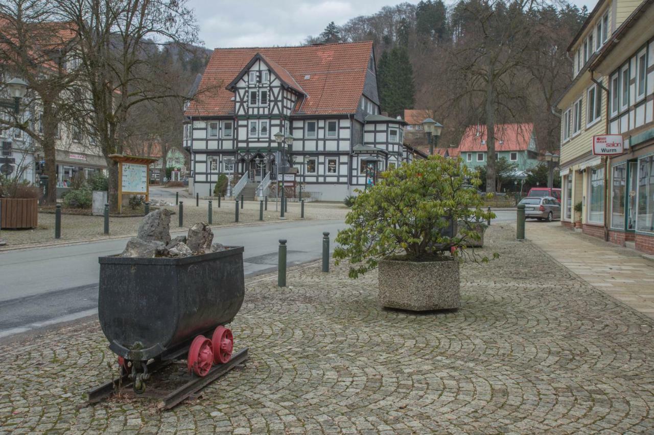 Welt Lodge Altenau  Exteriör bild