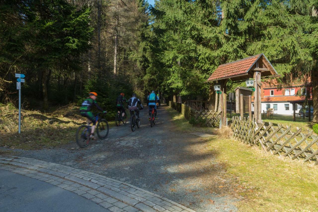 Welt Lodge Altenau  Exteriör bild